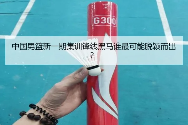 中国男篮新一期集训锋线黑马谁最可能脱颖而出？